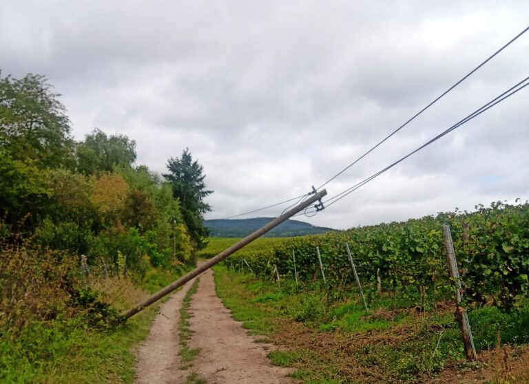 39/2021 Umgestürzter Strommast