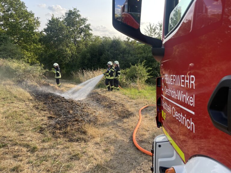 29/2023 Flächenbrand