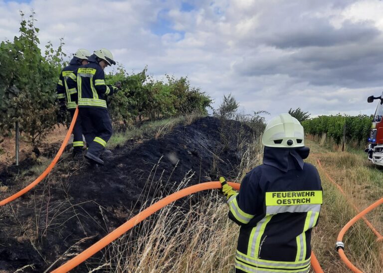 30/2023 Flächenbrand